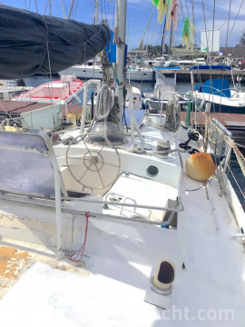 Arcadia 46 