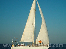 Moana 39