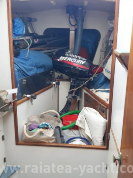 Moana 39