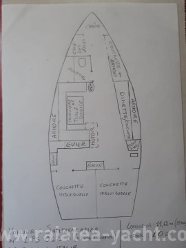 Moana 39