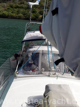 Moana 39