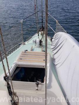 Moana 39