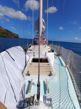 Moana 39