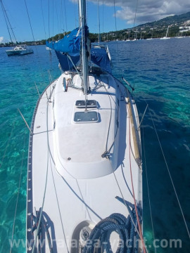 Océanis 361