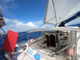 Snowgoose 37 Elite