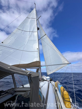 Sun Odyssey 419