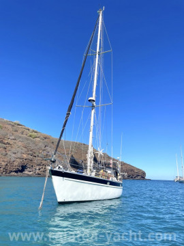 Warrior 40