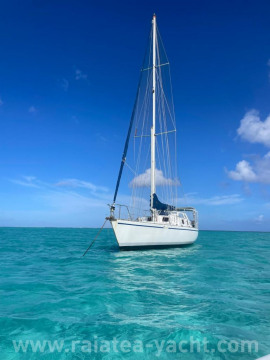 Grand Duc 44