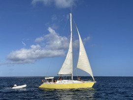 Sun Shine 38 - Raiatea Yacht Broker