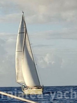 Sloop bois moulé 12  - Raiatea Yacht Broker