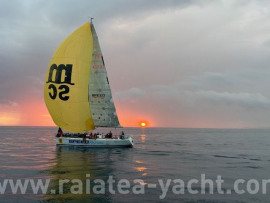 Sydney 38